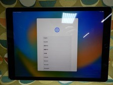 Ipad Pro A1670 2nd Generation 256GB Great Condition Charged to 100 Wi-Fi
