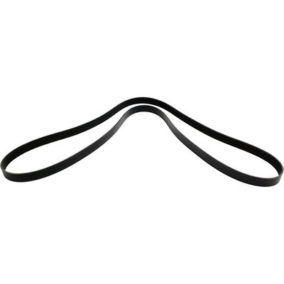 5080980 Dayco Drive Belt for Ford Expedition Lincoln Navigator 1998-2001