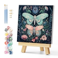 Framed Paint by Numbers on Canvas Butterflies in Jungle Acrylic Paint Color-02