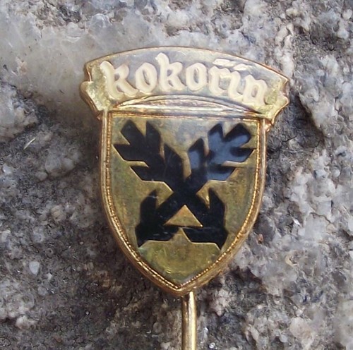 Kokorin Czechoslovakia Town Heraldic Crest Official Coat Arms Shield Pin Badge - Picture 3 of 5