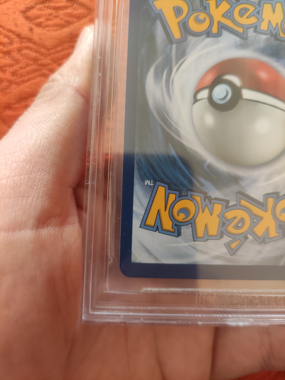 Foto 11 di 12