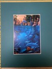 Vintage -The Lagoon Sea Life David Christopher Miller Matted Portal Print 8 X 10 — photo 1