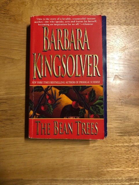 The bean trees sparknotes image