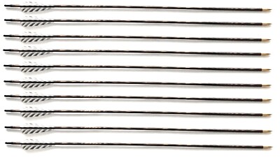 10 Holzpfeile 30'',  5/16 Pfile aus Holz mit 4 Zoll Naturfedern barred weiß-grau