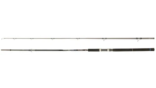 Major Craft Ceana CNSS-1002H *Spinnrute Meerforelle Wolfsbarsch Fuji Japanrute