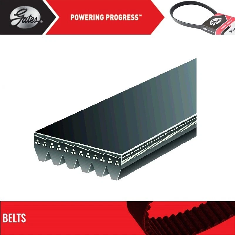 Gates A/C Belt For 1988 FORD RANGER L4-2.0L - Image 2 of 4