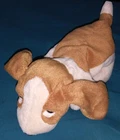 Ty Beanie Babies Tracker the Bassett Hound Retired Vintage