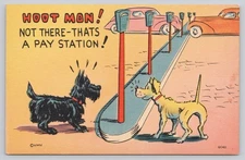 Vintage Linen Comic Postcard Dogs Parking Pay Station MWM Aurora MO