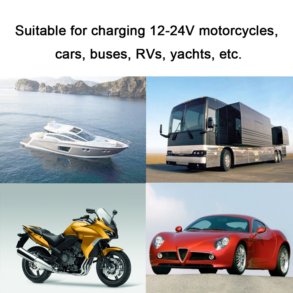 Zdjęcie 5 z 12