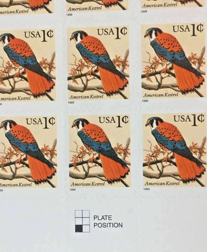 US American Kestrel 1c sheet (50 stamps) MNH 1999 - Image 2 of 3