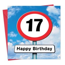 17 Year Old Card ?Age 17 Birthday Card ?17th Birthday Card ?Age 17 Teenager Card