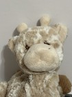 Picture 3 of 6