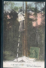 PAYS LANDAIS RESINIER