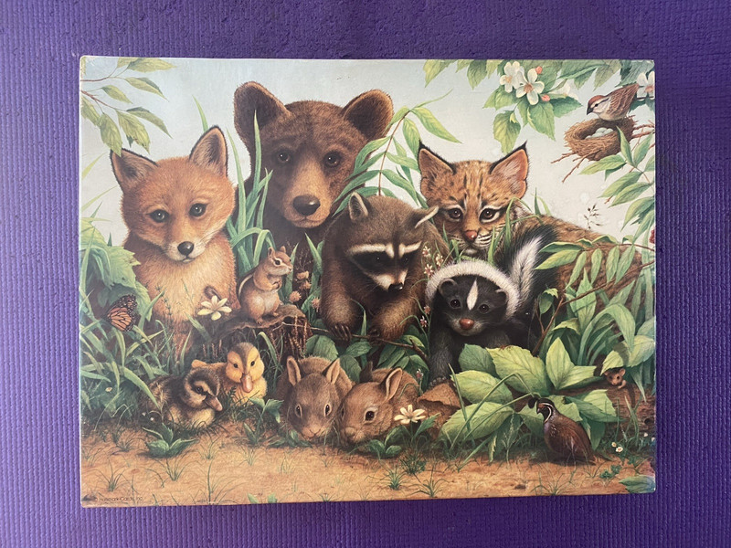 Vintage Springbok Puzzle (Take Care Of Our Tomorrows) Complete