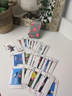 Spielkarten SFR Sammlung - Thema Telefonie / Netzwerk - Selten