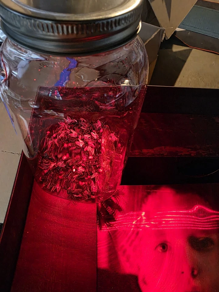 ALICE IN CHAINS JAR OF FLIES 30TH ANNIVERSARY BOX SET WITH TRI COLOR VINYL  - Image 2 of 4