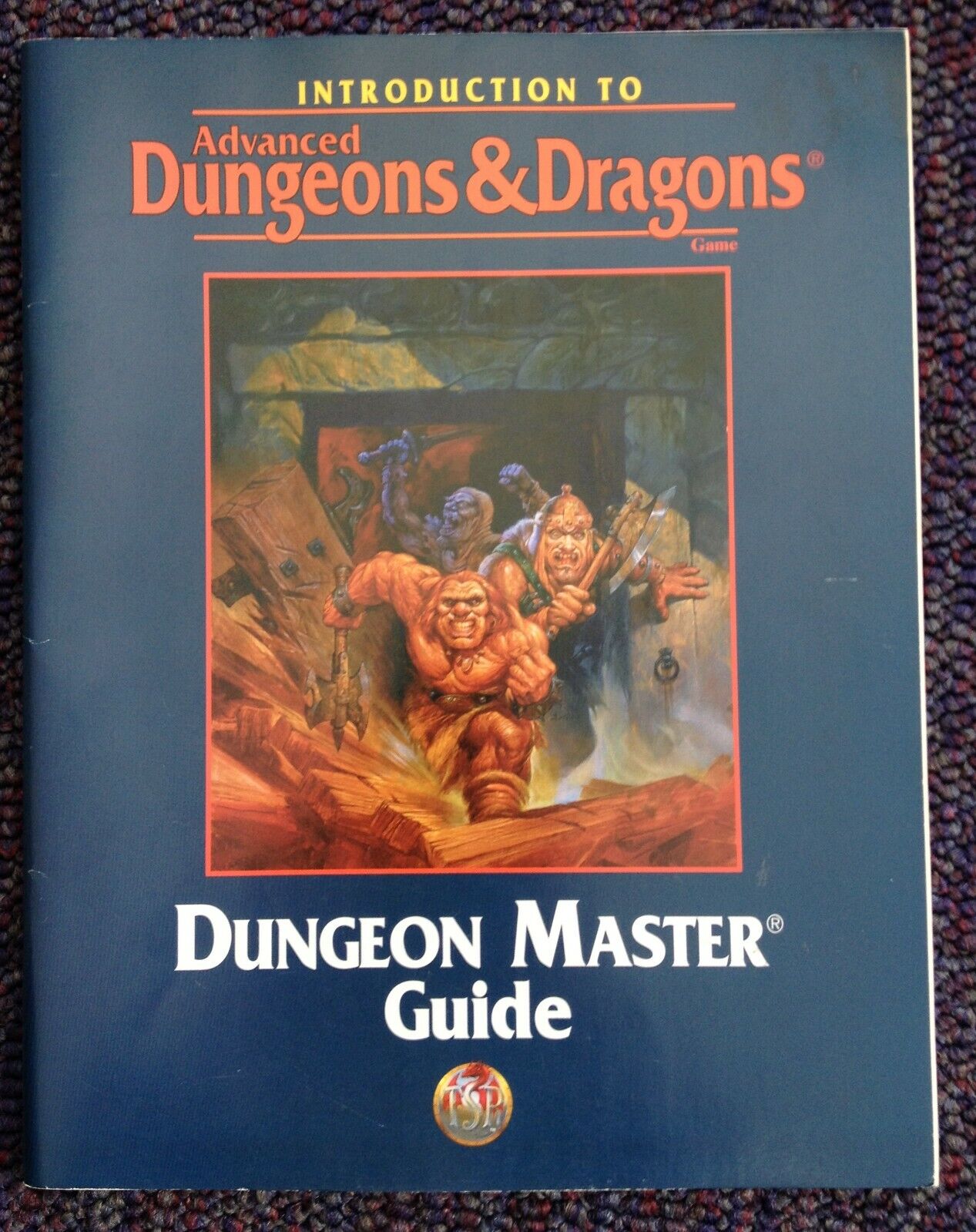 Dungeon Master Guide Introduction to Advanced Dungeons & Dragons 2nd Edition