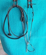 Arabian Show Halter with Conchos and Lead