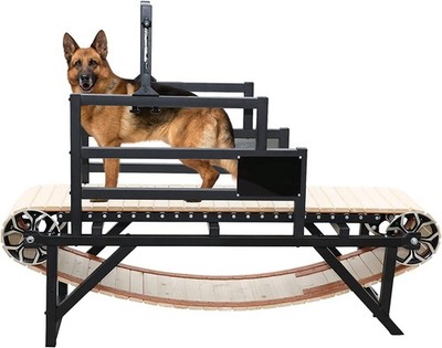  BowWowTread  Medium Large Dogs No Electricity Dog Healthy Toys