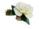 Foto 2 di 8