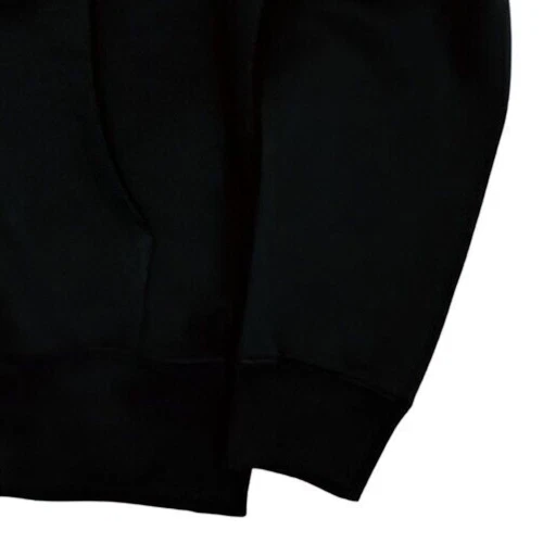 MIKU FES'24 Spring Happy 16th Birthday Hoodie