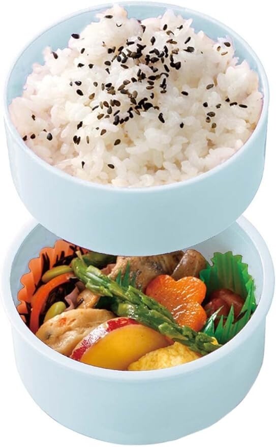 Snoopy Peanuts Comic Skater Bento Box 500ml 2-Tier Round Antibacterial Japan Free Shipping