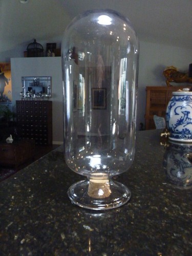 Großes umgekehrtes Show Apotheker Glas 13 1/2"