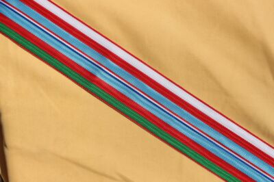 Title of Recognition of the Nation Ribbon Cup (Helmet Model)