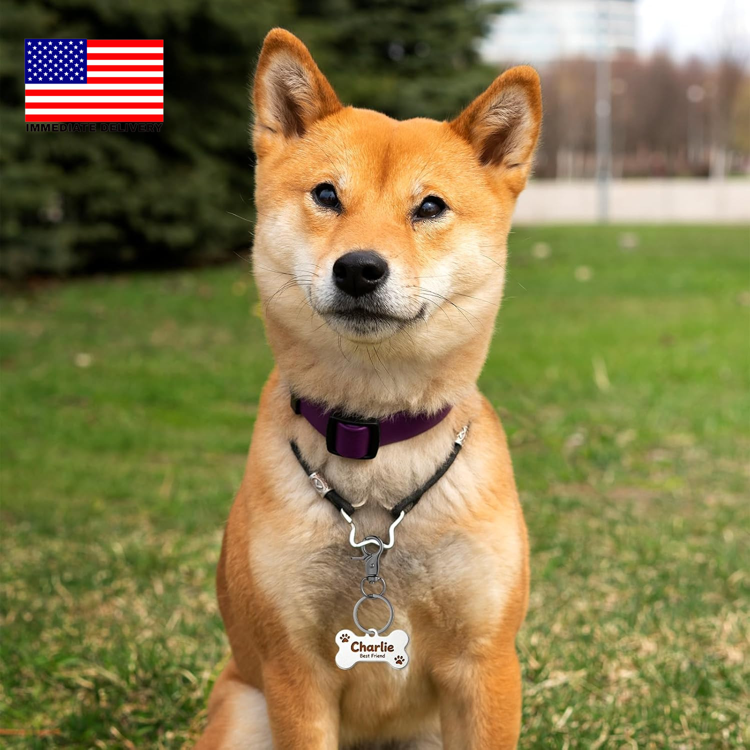 4 Pcs Dog Tag Clip for Collar, Pet ID Name Dog Tag Clip, Buckle Quick Clips with