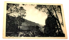 Tiger Hill Coonoor India Postcard Printed in Germany