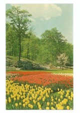 Sterling Forest Gardens NY Postcard c1960