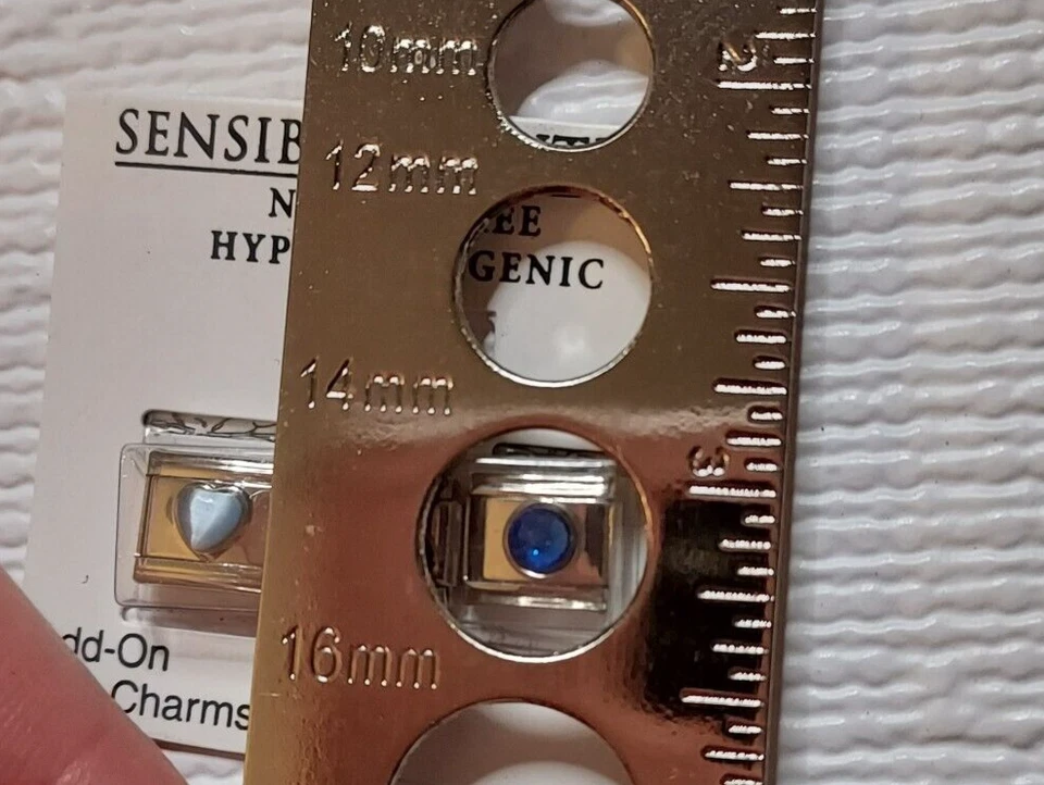 SOLUCIONES SENSIBLES Dijes Add On Link Delfín Sin Níquel Hipoalergénicos De Colección Foto 4 de 4