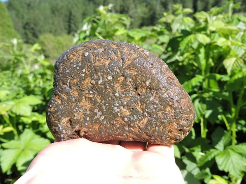 3 UNUSUAL Porphyry Nodule Stones. Agate Nursery / Galaxy Rocks (3 pounds+ TOTAL) - Bild 13 von 24