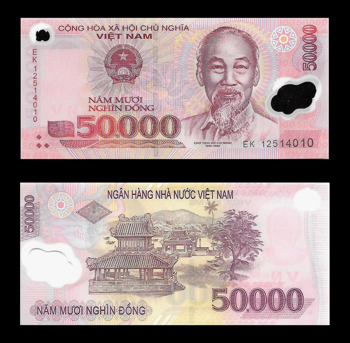Vietnamese Paper Money 50,000 ₫ Denomination | Updated Sep 2026