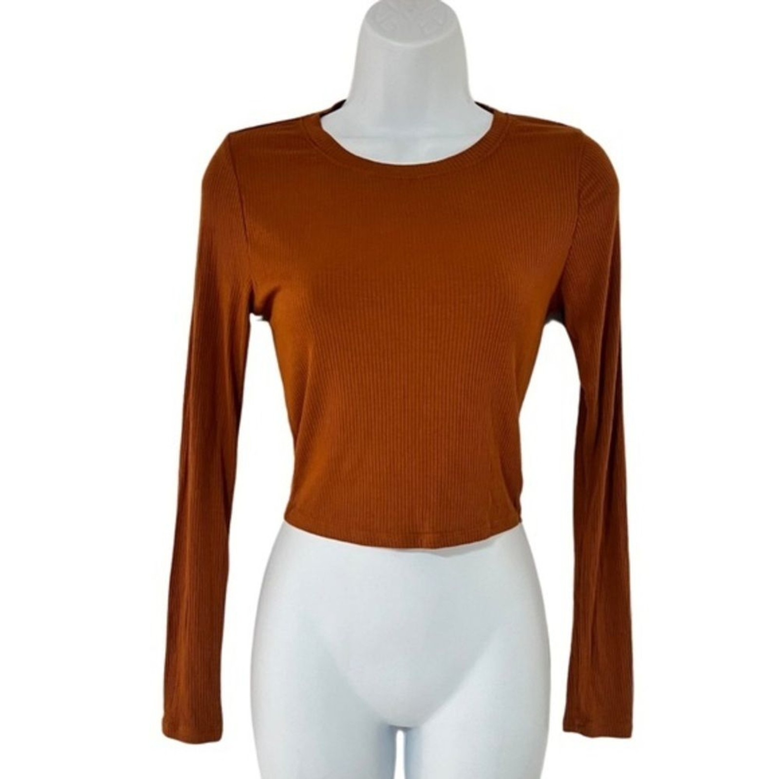 Active Basic Cropped Long Sleeve Tee – Brown – Si… - image 1