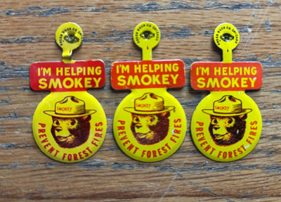 Vintage Smokey Bear  I m Helping Smokey  Forest Fire Prevention Pin Lot (3)