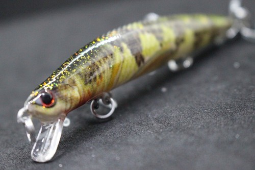 Jerkbait Fishing Lure wLure 4 3/4 inch Shallow Water Lifelike for Bass HM616 - Picture 9 of 81