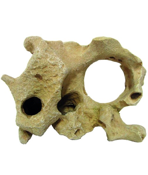Beige Gallura Muschel Mit Loch M 24,5X18X14Cm Aquarium Dekoration Amtra-image
