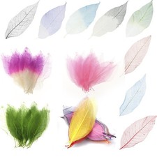 50Pcs Natural Skeleton Leaves Paper Craft Scrapbooking Wedding Invitation Gift