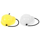 2 Pcs Small Animal Costume Mini Hard Hat Tiny for Bearded Dragon