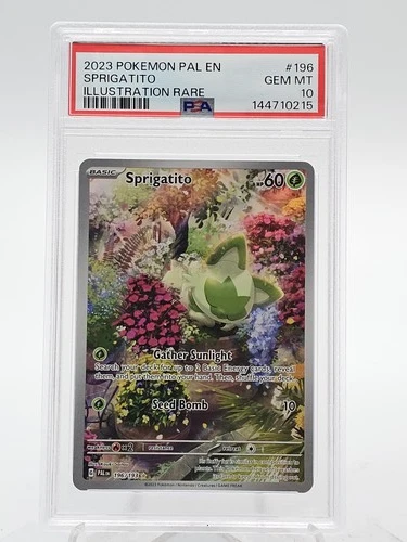 SPRIGATITO 2023 POKEMON PALDEA EVOLVED ILLUSTRATION RARE #196 PSA 10 Q6817