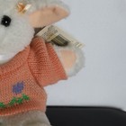 Bild 4 von 14
