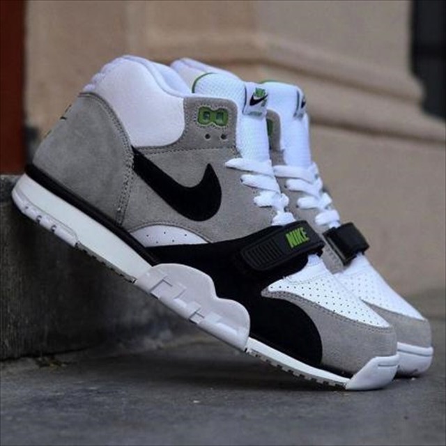 nike air trainer iso