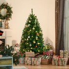 Bild 2 von 11