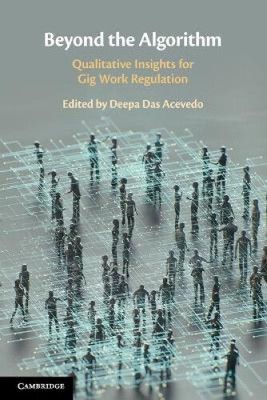 Beyond the Algorithm: Qualitative Insights for Gig Work Regulation [Paperback]
