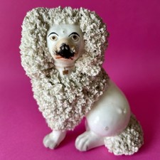 Figurine ancienne chien Staffordshire circa 1850 judge's wig Poodle 14 cm