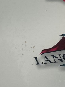 Langrisser IV Package Saturn SS CA