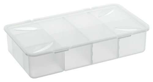 Rotho contenitore con scomparti e coperchio trasparente (Q4m) - Foto 1 di 1