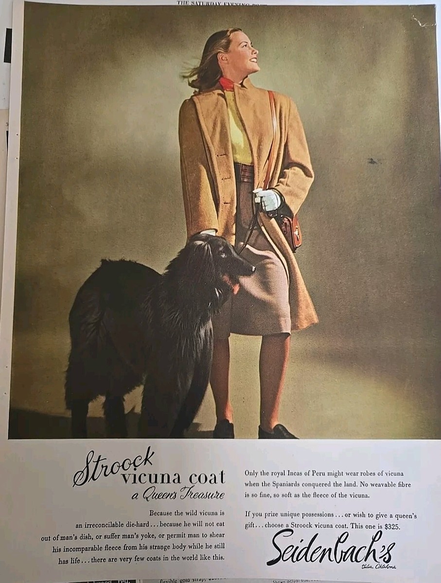1944 Women's Stroock Vicuna Coat Seindenbach's Afghan hound dog