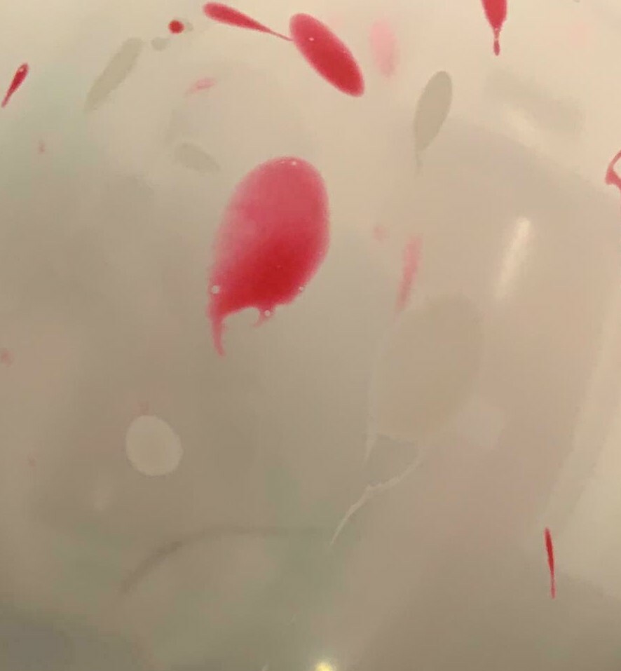 CLEAR SEE THROUGH BALLOONS 18